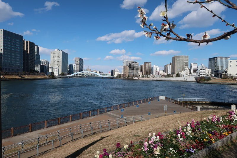 センチュリーパークタワー周辺からの景色