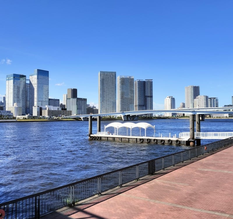 ザ・パークハウス晴海タワーズの遠景写真